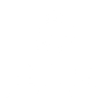 Why Choose Us Icon
