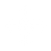 Why Choose Us Icon
